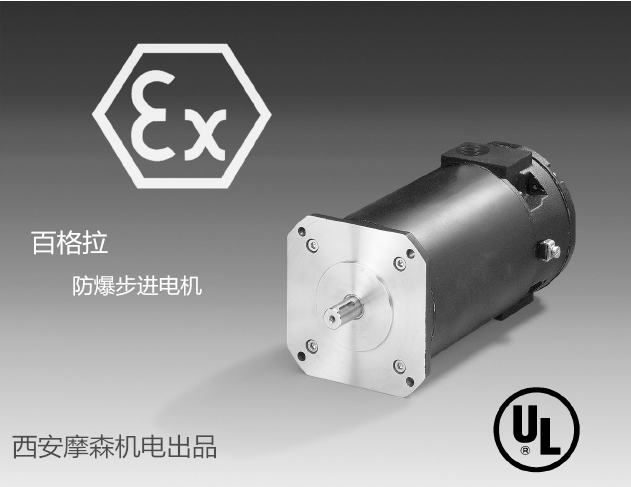 百格拉防爆步進電機