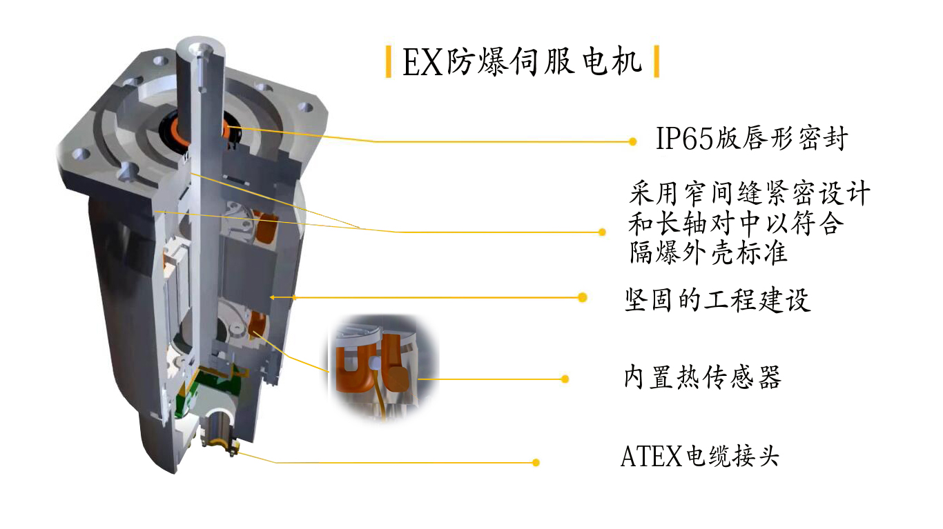 EX防爆伺服電機(jī)拆解.jpg